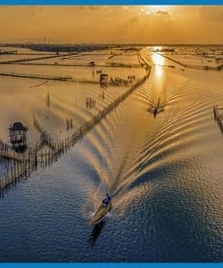 Booking Tour Tham quan Kinh Thành - Phá Tam Giang Huế đi 1 ngày | Khám phá trọn vẹn Huế cổ kính và thiên nhiên 4 14 1