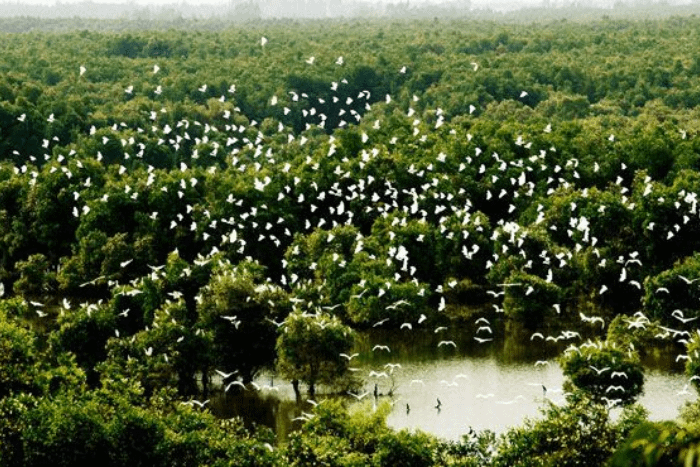 KHÁM PHÁ DU LỊCH CẦN THƠ 3 NGÀY 2 ĐÊM 12 VUON CO