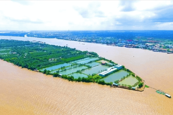 TOP 3 KHU DU LỊCH SINH THÁI CẦN THƠ HOT NHẤT NĂM 2025 5 con son