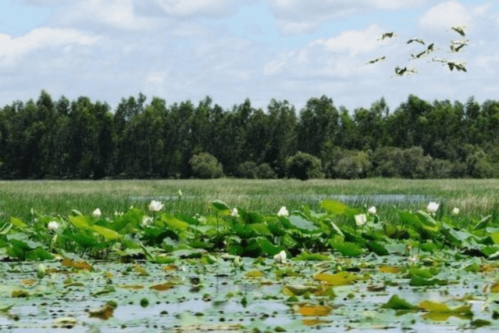 TOP 3 KHU DU LỊCH SINH THÁI CẦN THƠ HOT NHẤT NĂM 2025 3 khu du lich