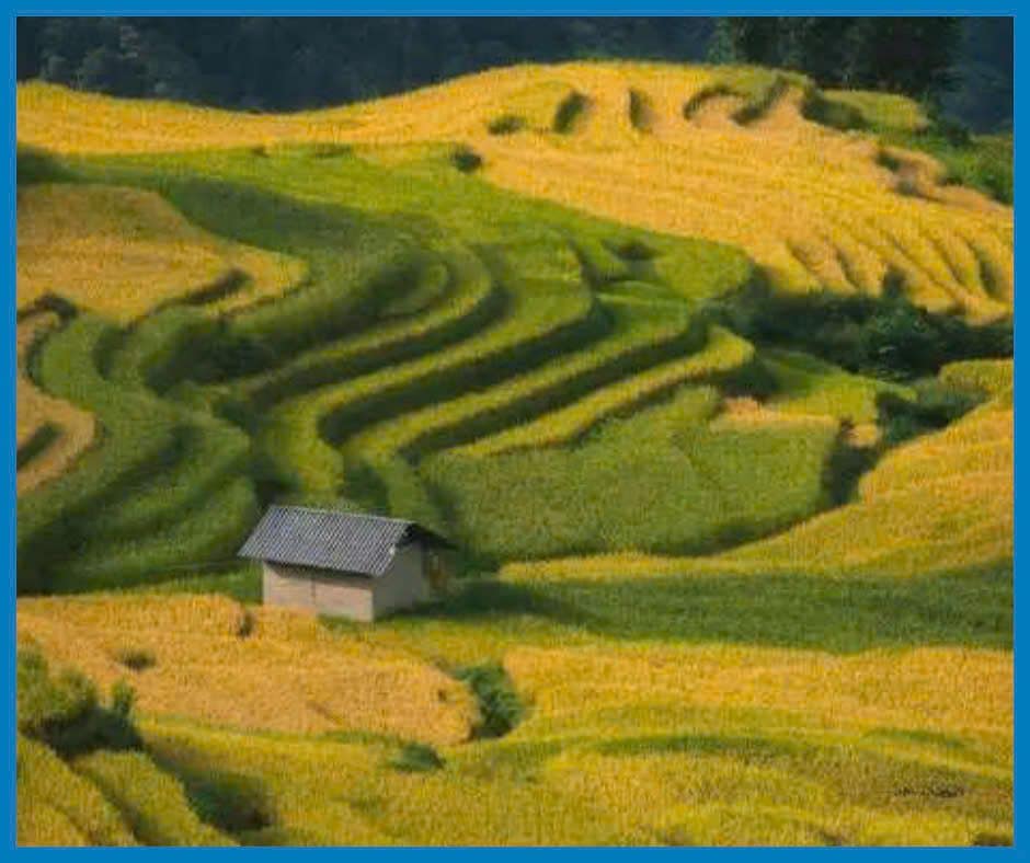 z6675897826711_857bbbb1c1296e4f7eb1f0edf3f044c0 z6675897826711 857bbbb1c1296e4f7eb1f0edf3f044c0